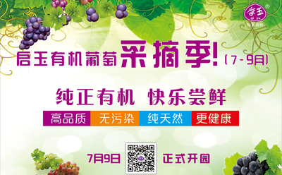 泸州启玉葡萄园开园仪式