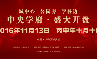 泸州中央学府 · 开盘活动